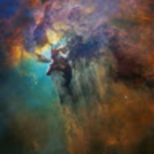 Meet your Posher, Jose